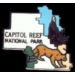 CAPITOL REEF NATIONAL PARK PIN